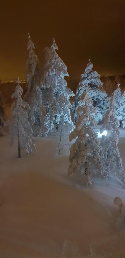 Apartman Mina Divčibare المظهر الخارجي الصورة